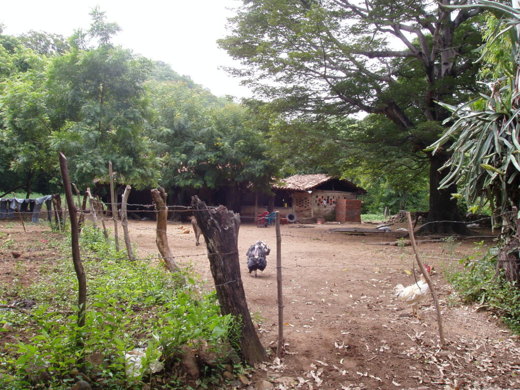 House and Yard in Rural Nicaragua - Brick Walls, Tile Roof